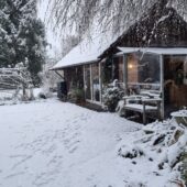 BrandLinge Stube in Kölliken im Winter – gemütliches Atelier und Kurslokal für Brandmalerei.